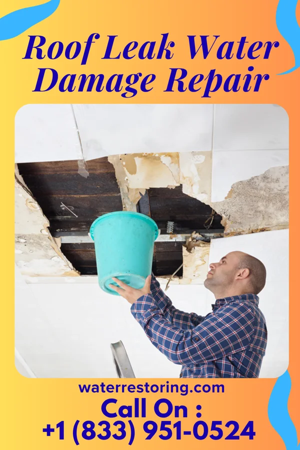 Roof Leak Water Damage Repair in Westgate, IA